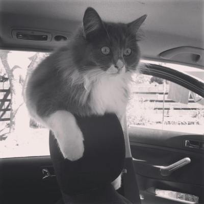 44255961_1642158345888052_1887442770004541440_n